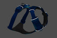 Charger l'image dans la visionneuse de la galerie, Ruffwear - Harnais Front Range Ruffwear