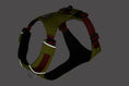 Charger l'image dans la visionneuse de la galerie, Ruffwear - Harnais Hi & Light Ruffwear