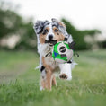 Load image into Gallery viewer, Spot - Jouet Ballon de Soccer Tabbie pour chiens