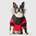Load image into Gallery viewer, Canada Pooch True North Parka - Rouge - 18 Canada Pooch