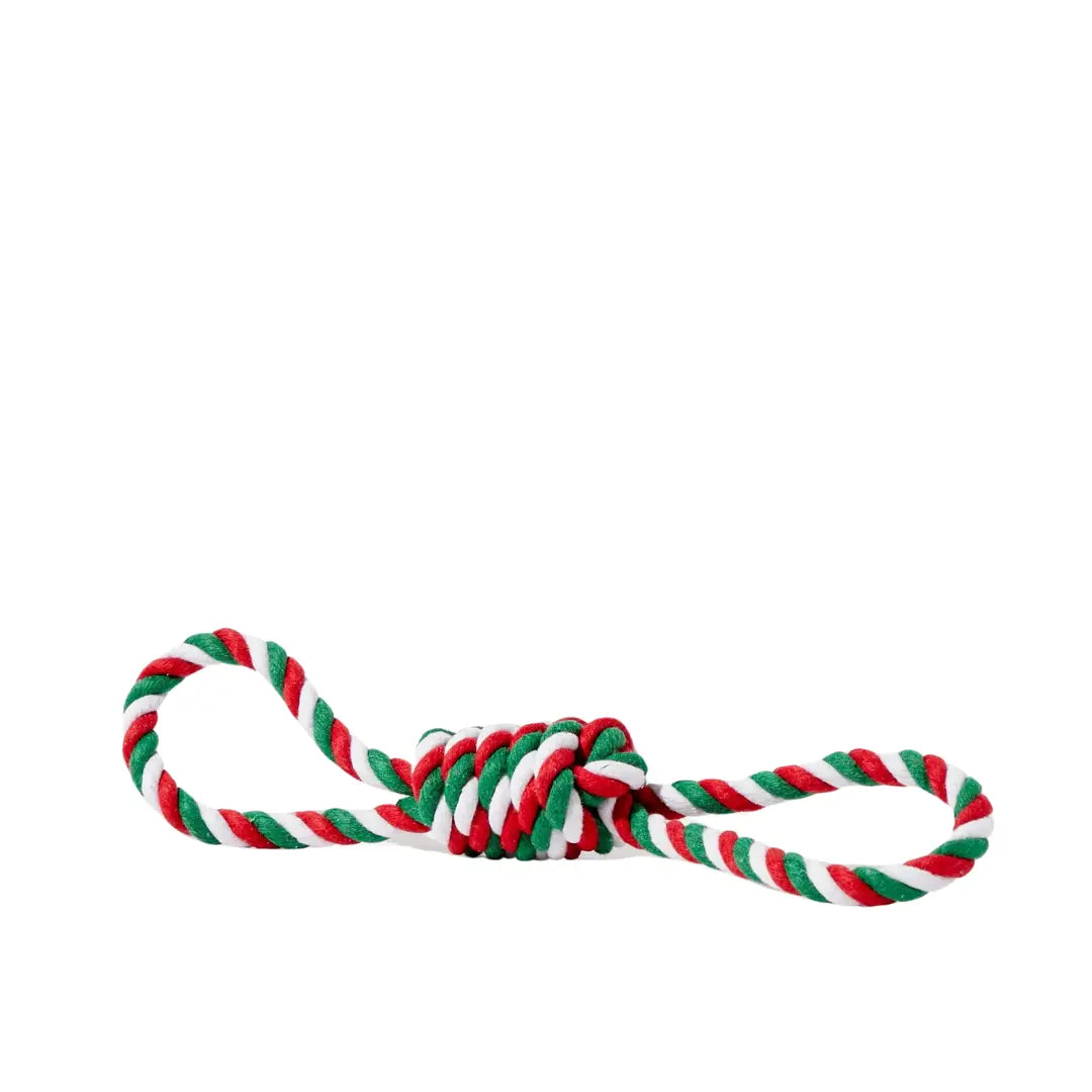 Tug festif 2 poignées pour animaux Livora