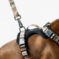 Charger l'image dans la visionneuse de la galerie, WC - Harnais Max Control Woof Concept