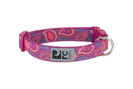 RC - Collier Petit pour chien 3/4