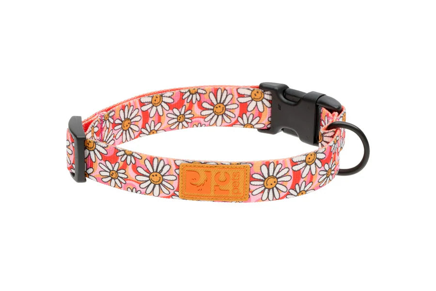 RC Pets - Collier Éco pour chien