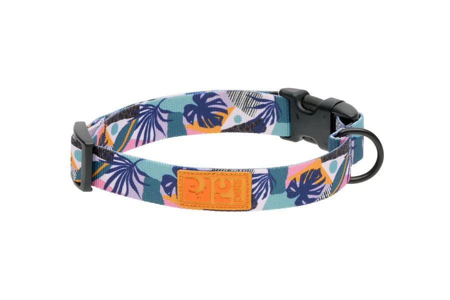 RC Pets - Collier Éco pour chien