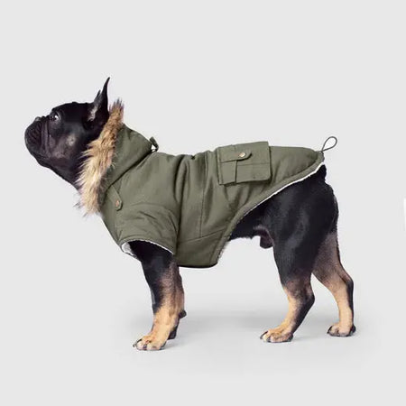 Canada Pooch - Army Parka Vert - 20 Canada Pooch