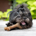 Load image into Gallery viewer, Benebone Bacon et Maplestick Érable - Jouet à mâcher pour chien de toutes tailles Benebone
