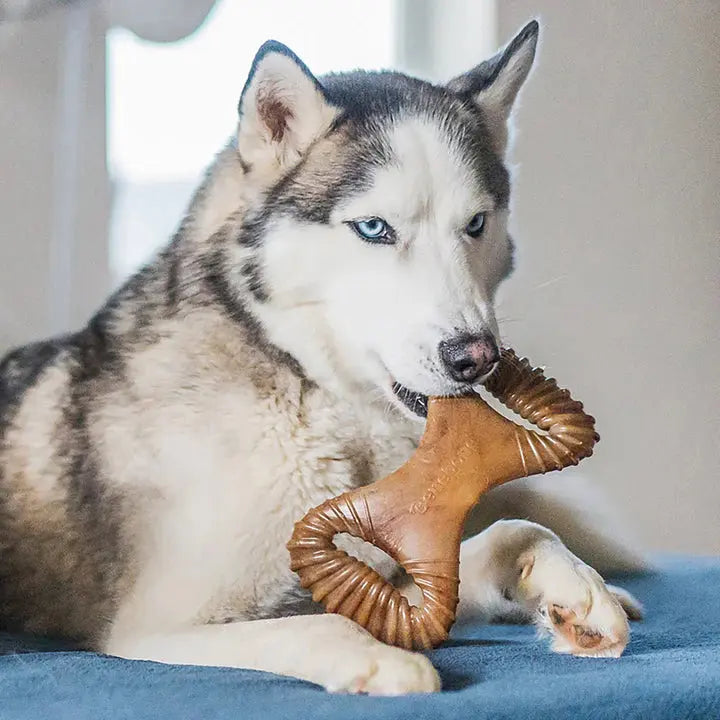 Benebone Dental Chew - Variété de tailles pour chien Benebone