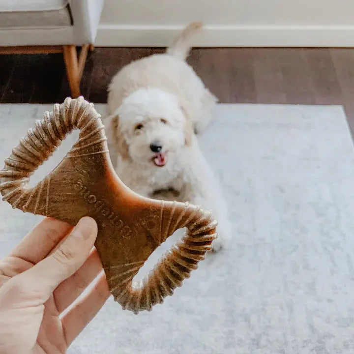 Benebone Dental Chew - Variété de tailles pour chien Benebone