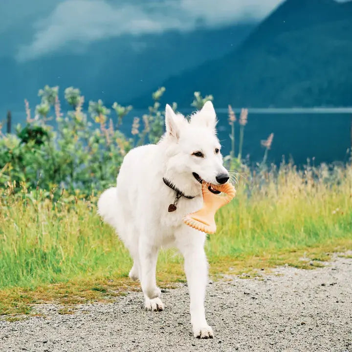 Benebone Dental Chew - Variété de tailles pour chien Benebone