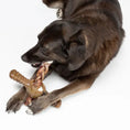 Charger l'image dans la visionneuse de la galerie, Benebone Pawplexer au bacon pour chien Benebone
