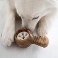 Charger l'image dans la visionneuse de la galerie, Benebone Pawplexer au bacon pour chien Benebone
