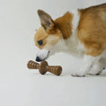 Charger l'image dans la visionneuse de la galerie, Benebone Zaggler - Variétés disponibles pour chien Benebone
