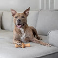 Charger l'image dans la visionneuse de la galerie, Benebone Zaggler - Variétés disponibles pour chien Benebone
