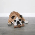 Charger l'image dans la visionneuse de la galerie, Benebone Zaggler - Variétés disponibles pour chien Benebone
