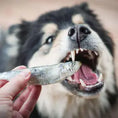 Load image into Gallery viewer, Big Country Raw - Patte de Poulet et Os de Canard et Sardines congelés pour chien Big Country Raw
