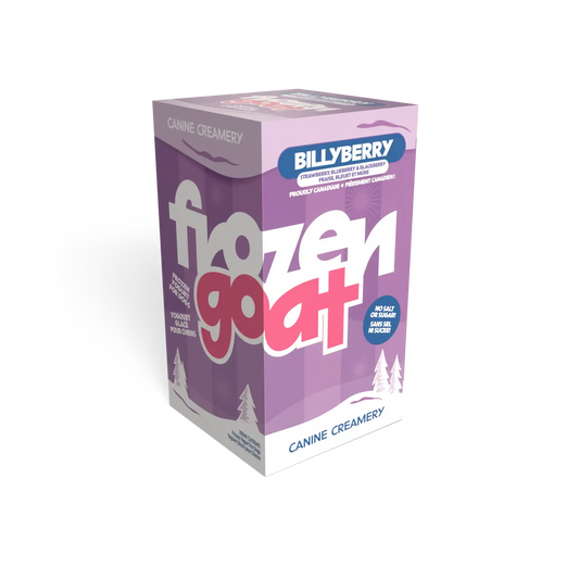 Big Country Raw - Yogourt glacé pour chiens Big Country Raw