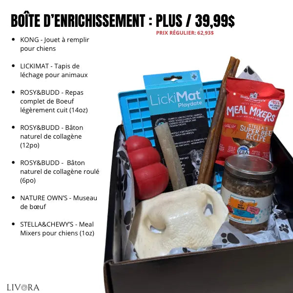 Boîte d’enrichissement pour chiens