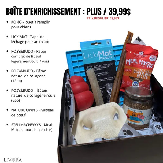 Boîte d’enrichissement pour chiens