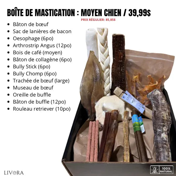 Boîte de mastication pour chiens