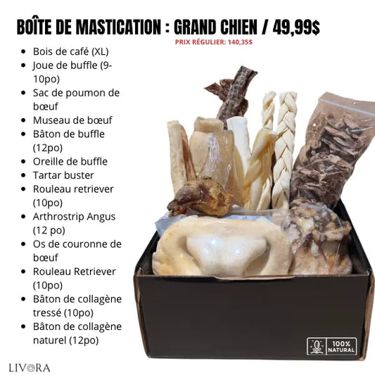 Boîte de mastication pour chiens