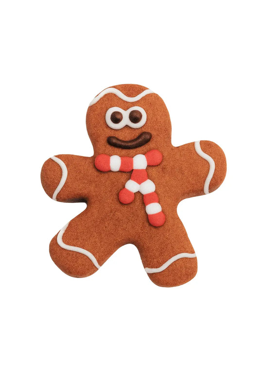 Bosco & Roxy's - Biscuit Pain d'épice de Noël pour chiens Bosco & Roxy's