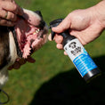 Load image into Gallery viewer, Buddy Care - Spray dentaire antiseptique pour animaux Buddy Care
