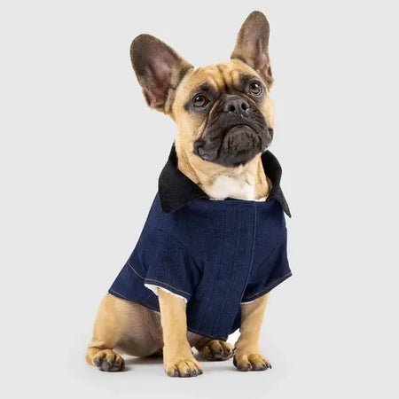 Canada Pooch Worker Jacket - 20 Canada Pooch