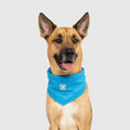 Charger l'image dans la visionneuse de la galerie, Canada Pooch Bandana et Refroidissant Bandana Collection Canada Pooch
