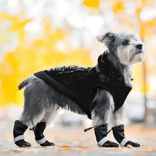 Canada Pooch - Bottes Soft Shield - Noir Canada Pooch