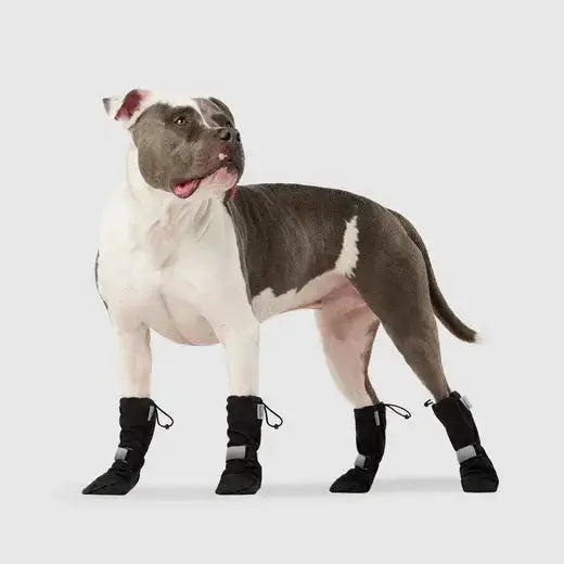 Canada Pooch - Bottes Soft Shield - Noir Canada Pooch
