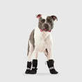 Charger l'image dans la visionneuse de la galerie, Canada Pooch - Bottes Soft Shield - Noir Canada Pooch
