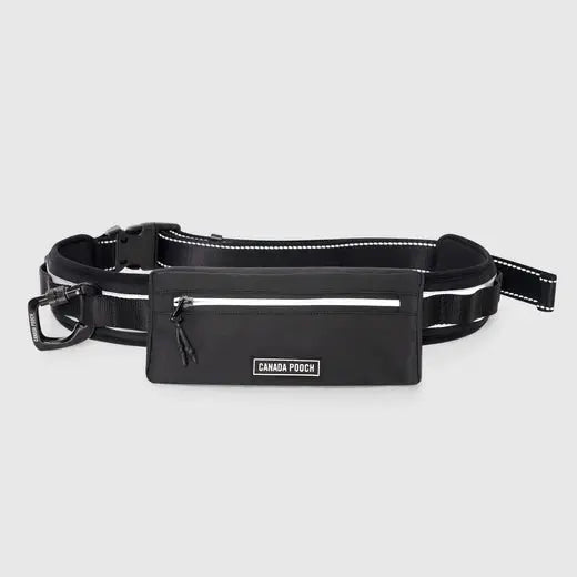 Canada Pooch - Ceinture utilitaire noir Canada Pooch