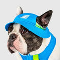 Load image into Gallery viewer, Canada Pooch - Chapeau rafraîchissant Chill Seeker pour chiens
