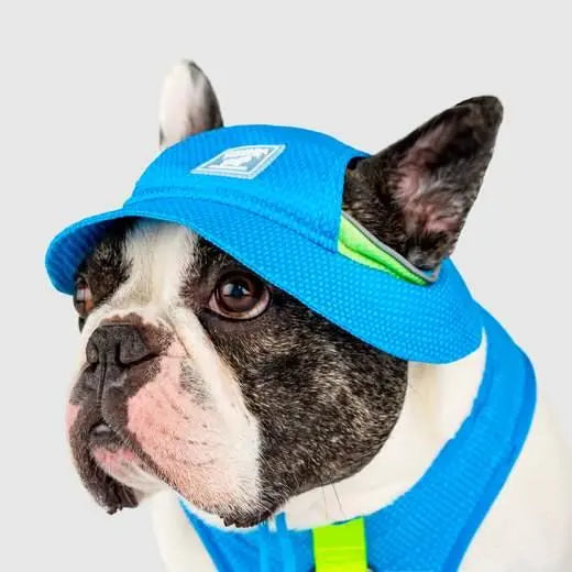 Canada Pooch - Chapeau rafraîchissant Chill Seeker pour chiens