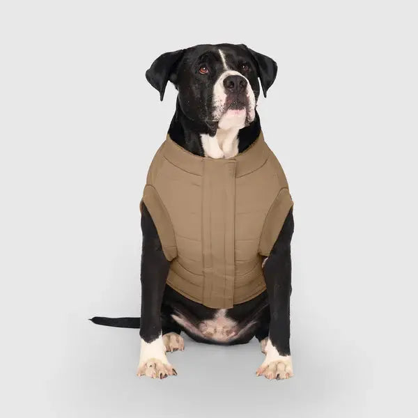 Canada Pooch - Cool Factor Puffer Jacket et Hoodie pour chien Canada Pooch