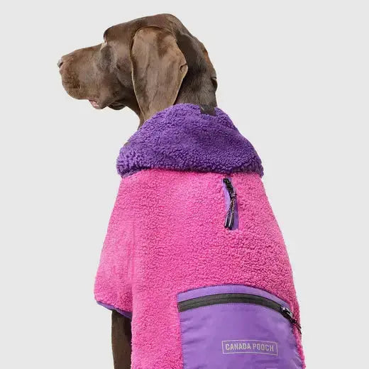 Canada Pooch - Cool Factor Puffer Jacket et Hoodie pour chien Canada Pooch