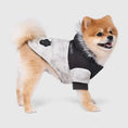 Charger l'image dans la visionneuse de la galerie, Canada Pooch Eco True North Parka - Marble Canada Pooch

