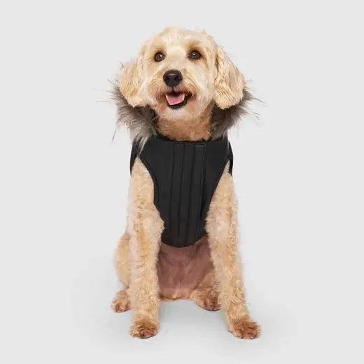 Canada Pooch - Eco+ Alaskan Army Parka - Black Canada Pooch