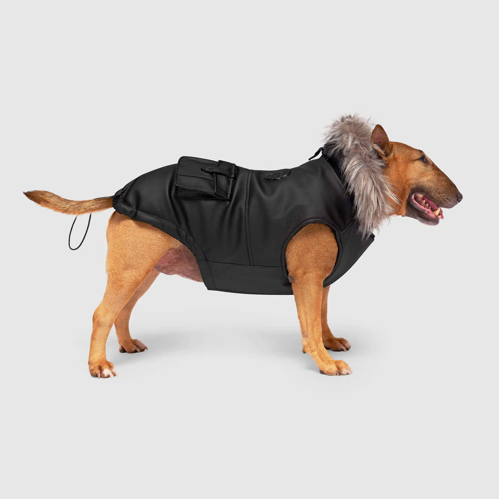 Canada Pooch - Eco+ Alaskan Army Parka - Black Canada Pooch