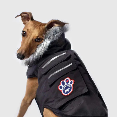 Canada Pooch - Everest Explorer Jacket - Black Canada Pooch