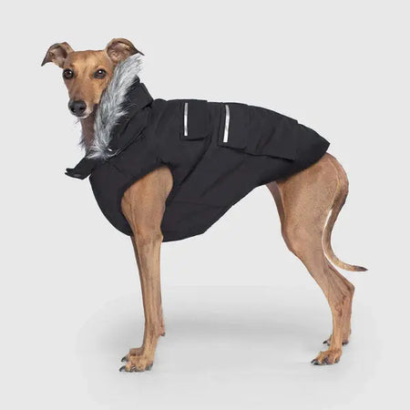 Canada Pooch - Everest Explorer Jacket - Black Canada Pooch