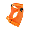 Load image into Gallery viewer, Canada Pooch - Everything Harness - Harnais pour chien Canada Pooch
