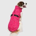 Load image into Gallery viewer, Canada Pooch - Expedition 2.0 - Manteau pour chien Canada Pooch
