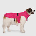 Load image into Gallery viewer, Canada Pooch - Expedition 2.0 - Manteau pour chien Canada Pooch
