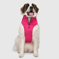 Load image into Gallery viewer, Canada Pooch - Expedition 2.0 - Manteau pour chien Canada Pooch
