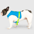 Load image into Gallery viewer, Canada Pooch - Harnais de refroidissement Bleu Canada Pooch
