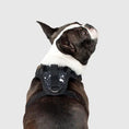 Load image into Gallery viewer, Canada Pooch - Harnais pour chien Everything Harness Canada Pooch
