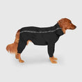 Charger l'image dans la visionneuse de la galerie, Canada Pooch Slush Suit & SnowSuit - Noir Canada Pooch
