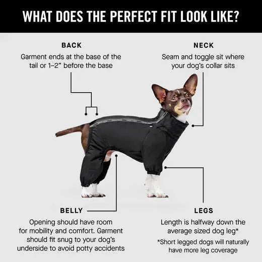 Canada Pooch Slush Suit & SnowSuit - Noir Canada Pooch